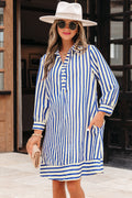 Blue Stripe Collared Half Button Side Pockets Loose Fit Mini Dress